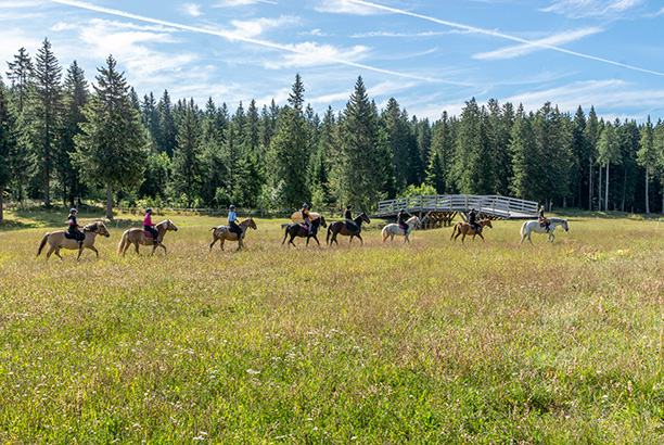 Vacances-passion - Centre d'Autrans - Autrans - Isère