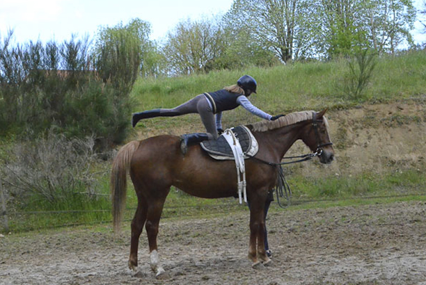 Vacances-passion - Domaine Equiland - Cassen - Landes