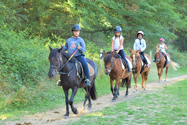 Vacances-passion - Domaine Equiland - Cassen - Landes