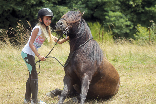 Vacances-passion - Domaine Equiland - Cassen - Landes