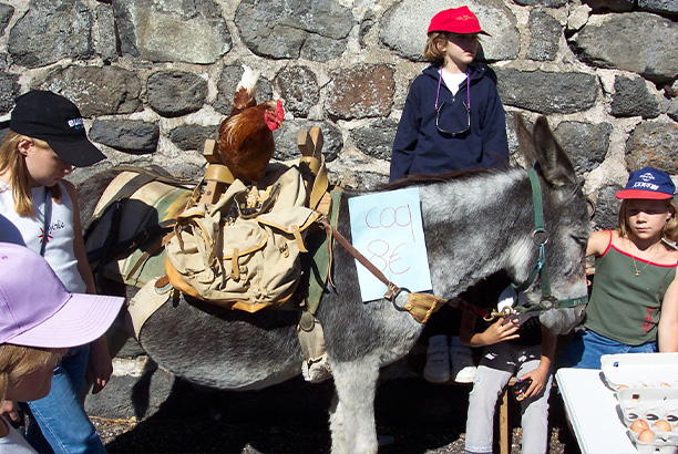 Vacances pour tous - colonies de vacances  - Saint-Front - Vacances à la ferme