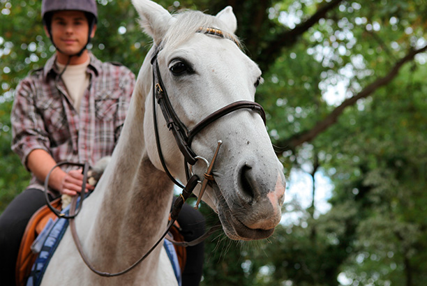 Vacances pour tous - colonies de vacances  - Saint-Front - Vacances au galop