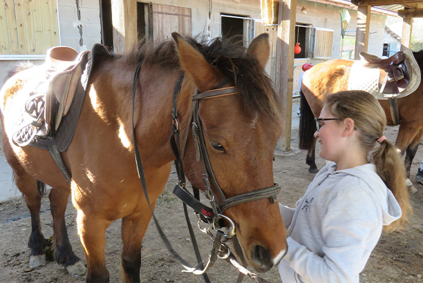 Vacances-passion - Centre Jas sport - Feurs / Jas - Loire