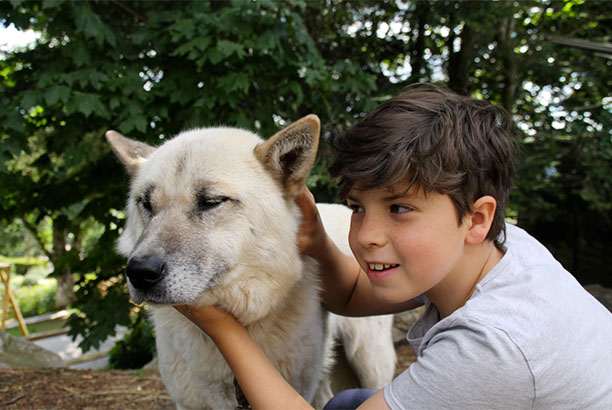 Vacances pour tous - colonies de vacances  - Le Bessat - Cani-rando