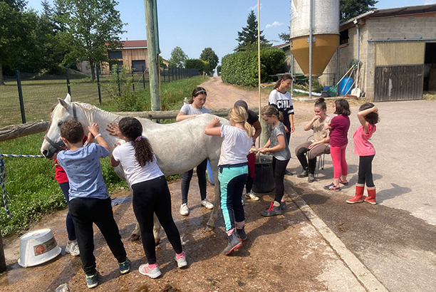 Vacances-passion - MFR Les Athiauds - Saint-Germain-Lespinasse - Loire