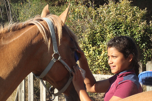 Vacances-passion - Centre Ispe Larrigade - Biscarrosse - Landes