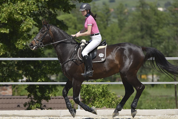 Vacances pour tous - colonies de vacances  - Biscarrosse - Stage équitation et océan