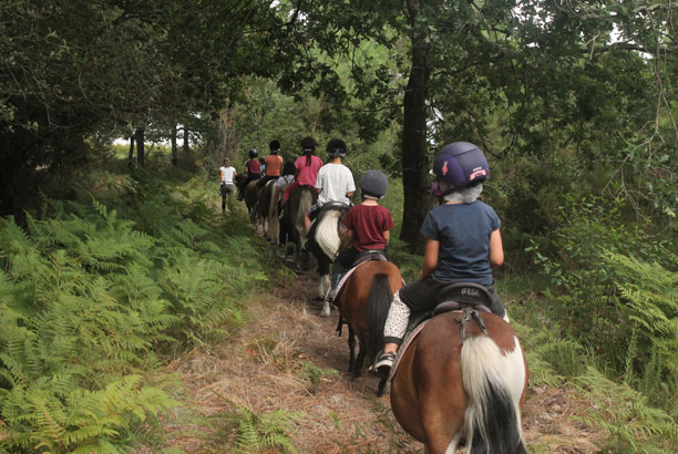 Vacances-passion - Centre Ispe Larrigade - Biscarrosse - Landes