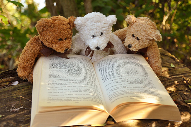 Vacances pour tous - colonies de vacances  - Mûrs-Érigné - Mon doudou et la nature