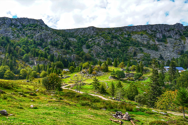 Vacances-passion - Les Jonquilles - Xonrupt-Longemer - Vosges