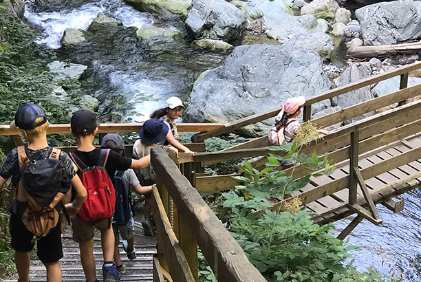 Vacances-passion - Montvauthier - Vallée de Chamonix/Montvauthier - Haute-Savoie