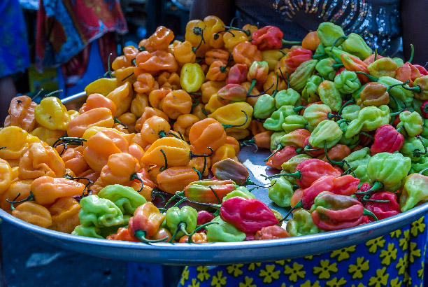 Vacances-passion - Côte d'Ivoire - Abidjan - Côte d'Ivoire