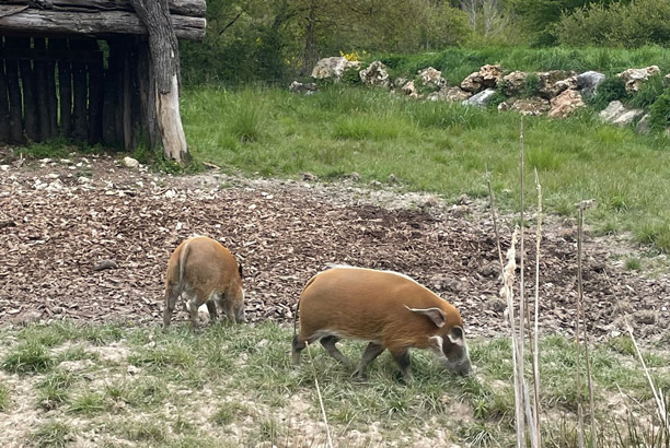 Vacances-passion - Centre d'Azay-le-Ferron - Azay-le-Ferron - Indre