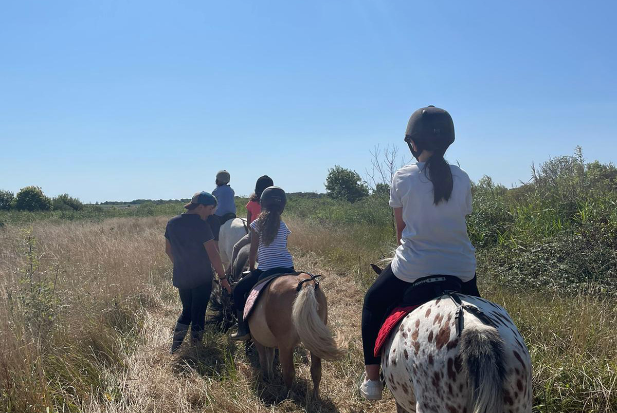 Vacances-passion - Centre à Mornac - Mornac-sur-Seudre - Charente-Maritime