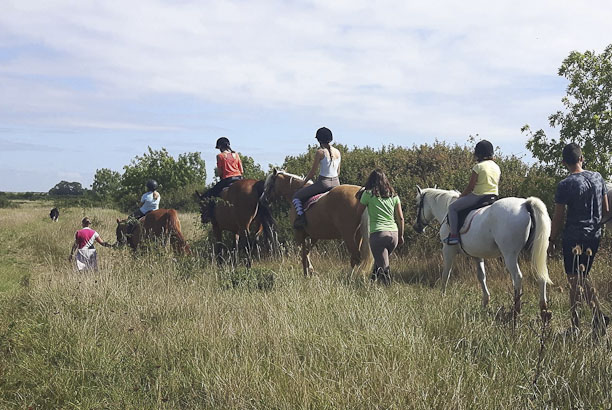 Vacances-passion - Centre à Mornac - Mornac-sur-Seudre - Charente-Maritime