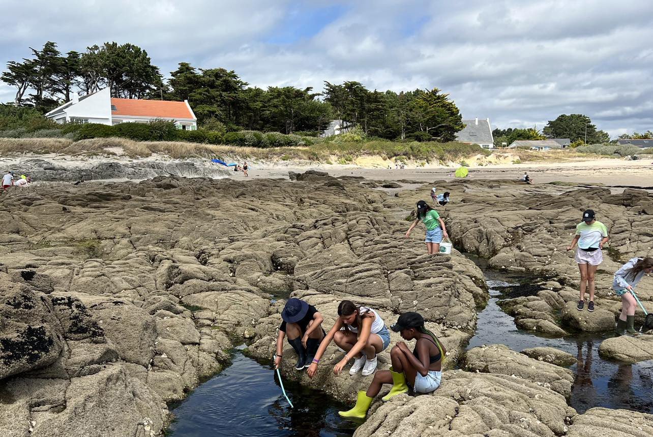 Vacances-passion - Centre à Mornac - Mornac-sur-Seudre - Charente-Maritime