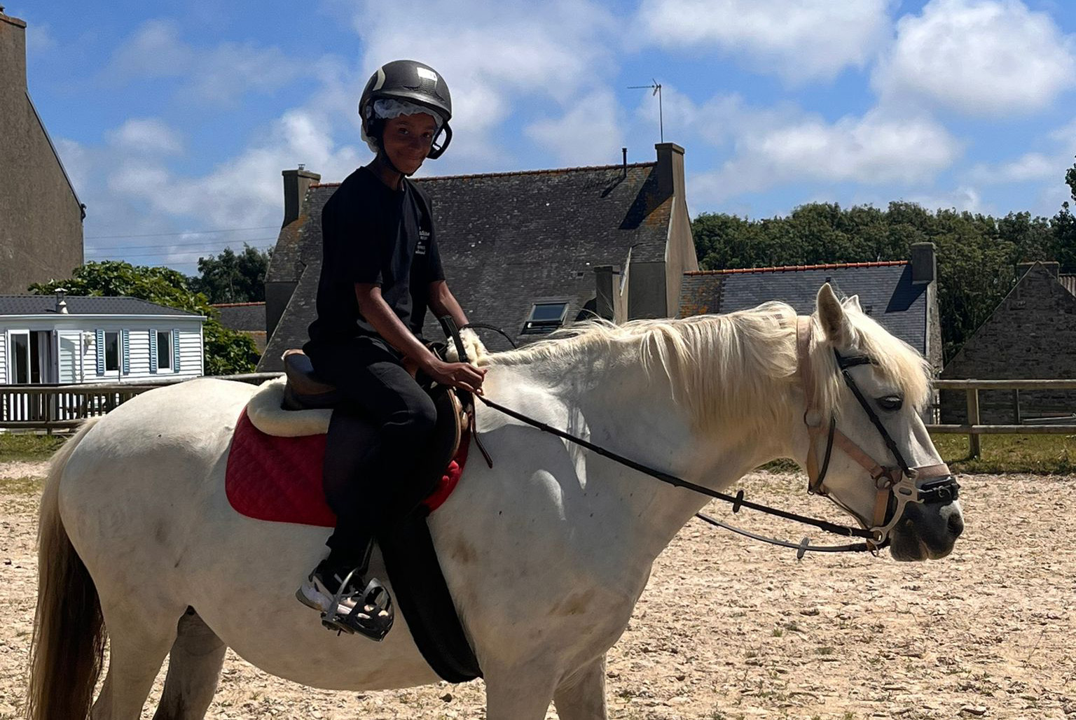 Vacances pour tous - colonies de vacances  - Plozévet - À la découverte des animaux Bretons