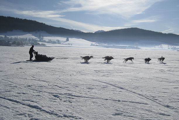 Vacances pour tous - colonies de vacances  - Autrans - En mode "trappeur" dans le Vercors Vacances pour tous - colonies de vacances  - Autrans - En mode "trappeur" dans le Vercors